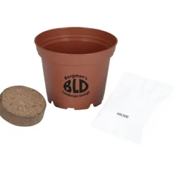Terra Cotta Planter Kit - Medium