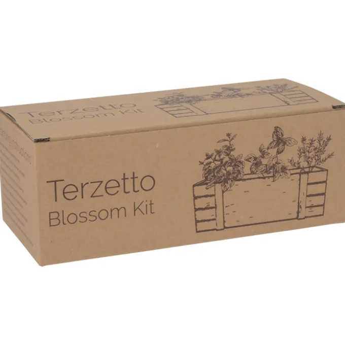 Terzetto Blossom Kit - Flower