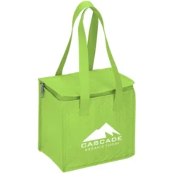 Therm-O Square Insulated Lunch Cooler