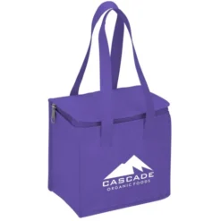 Therm-O Square Insulated Lunch Cooler