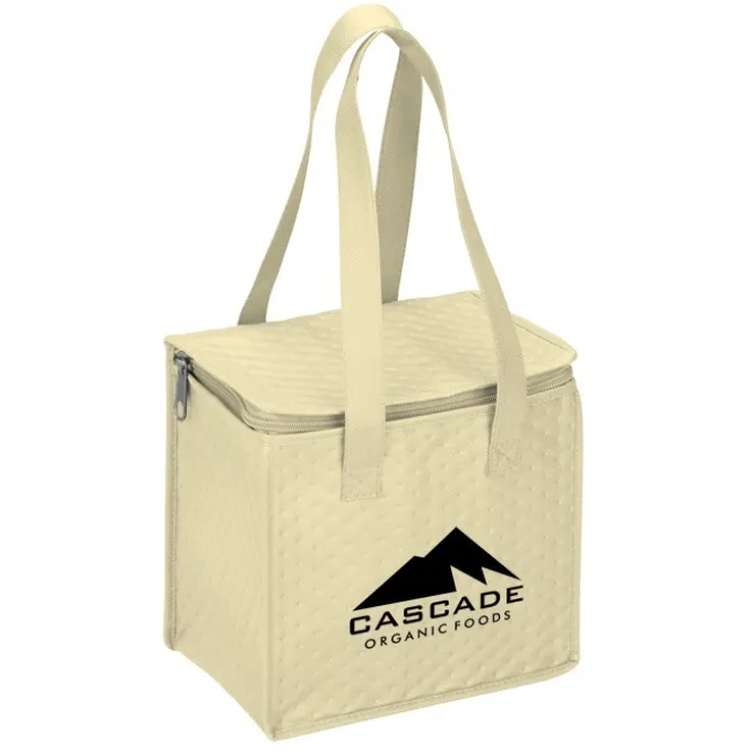 Therm-O Square Insulated Lunch Cooler
