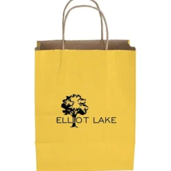 Tonal Striped Matte Paper Bag - 10 1/2 inches x 8 inches