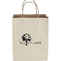 Tonal Striped Matte Paper Bag - 10 1/2 inches x 8 inches