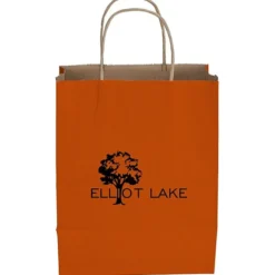 Tonal Striped Matte Paper Bag - 10 1/2 inches x 8 inches