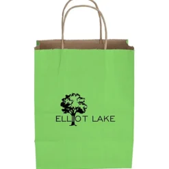 Tonal Striped Matte Paper Bag - 10 1/2 inches x 8 inches