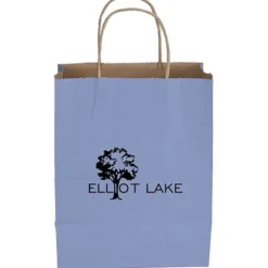 Tonal Striped Matte Paper Bag - 10 1/2 inches x 8 inches