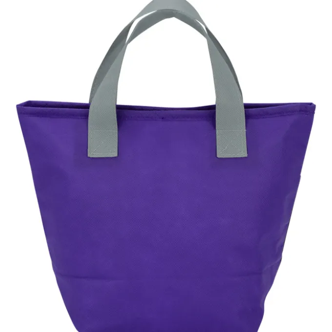 Totable Lunch Cooler Tote - 24 hr
