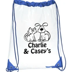 Touchdown Clear Sportpack - 16 3/4 inches x 13 3/4 inches