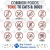 Toxic Food for Pets Magnet