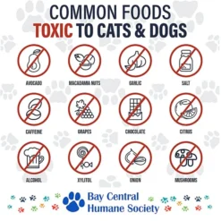 Toxic Food for Pets Magnet