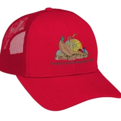 Transporter Snapback Meshback Cap