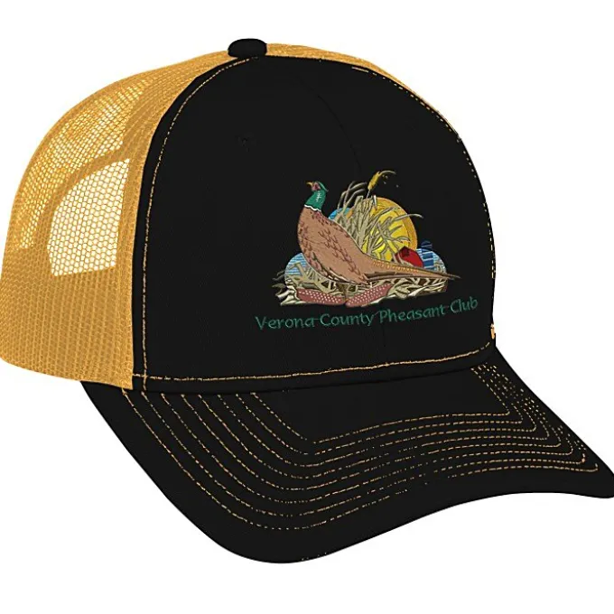 Transporter Snapback Meshback Cap