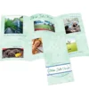 Tri-Fold Brochure - 8 1/2 inches x 11 inches
