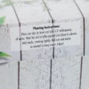 Triple Planter Grow Kit - Cucumber Dill