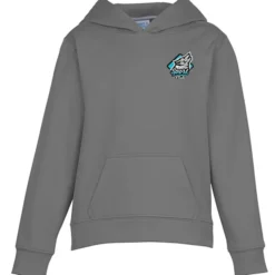 Triumph Performance Hoodie - Youth - Embroidered