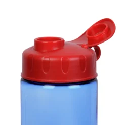 Twist Water Bottle with Flip Lid - 24 oz