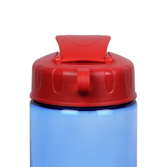 Twist Water Bottle with Flip Lid - 24 oz