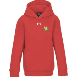 Under Armour Team Icon Fleece Hoodie - Youth - Full Color