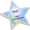 Value Lapel Pin - Star