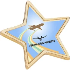 Value Lapel Pin - Star
