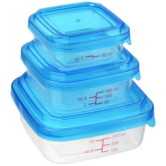Victory Portion Control Lunch Set