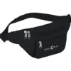 Waist Pack with Organizer Panel