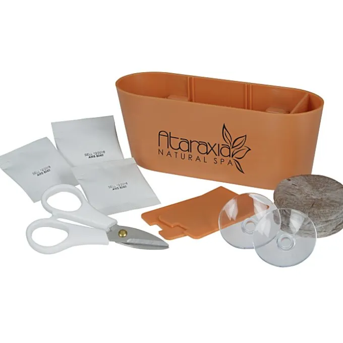 Wall Sprouts Indoor Garden Blossom Kit