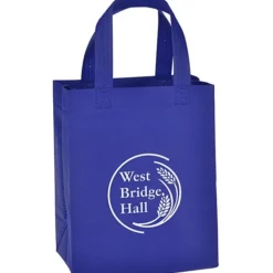 Washington Shopper Tote - 10 inches x 8 inches