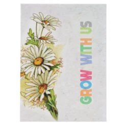 Watercolor Seed Packet - Shasta Daisy