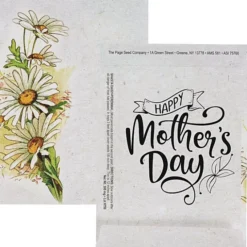 Watercolor Seed Packet - Shasta Daisy