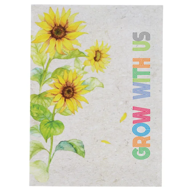 Watercolor Seed Packet - Sunflower