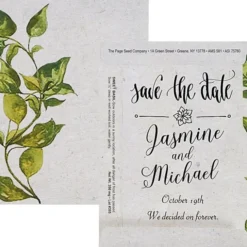 Watercolor Seed Packet - Sweet Basil