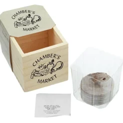 Wooden Cube Blossom Kit