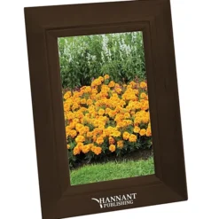 Wood Frame - 4 inches x 6 inches