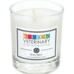 Zen Scented Votive Candle - 2 oz. - Berry Spice