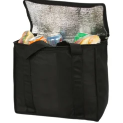 Zip Up Picnic/Shopping Tote