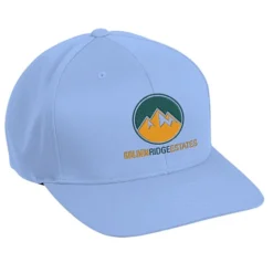 Zone Performance Cap