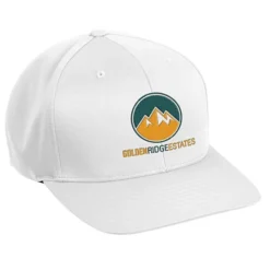 Zone Performance Cap